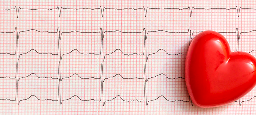 Foto Webinar i.c.w. VVVB: How does the underlying cause of shock determine shock first aid policy?